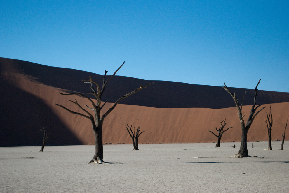 Desierto y dunas